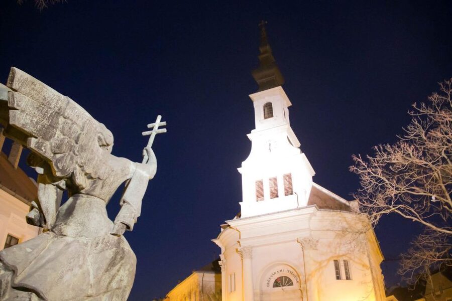 2 Hours Buda Castle Walking Tour - Walk with a Historian - Timing, language, and booking flexibility