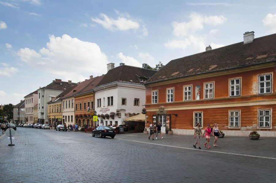 3-Hour Orientation Walking Tour of Buda and Pest - Buda Castle and the Royal Palace