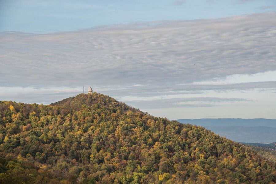 3Hour Outdoor Budapest Normafa Hike&History With a Historian - Key points at a glance