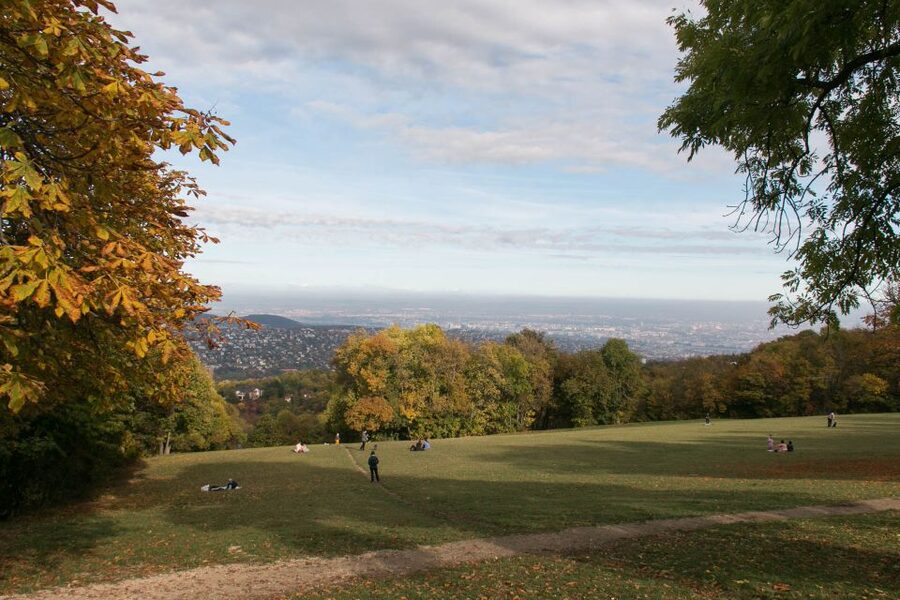 3Hour Outdoor Budapest Normafa Hike&History With a Historian - Walking the forest paths from Normafa