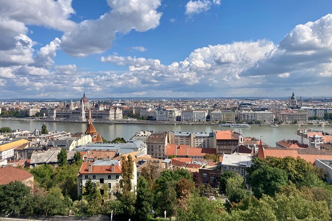 8-hour private Budapest city tour by car / minivan - Buda Castle and the Citadel view