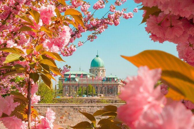 Best of Budapest Tour - The Great Synagogue and Budapest’s café culture