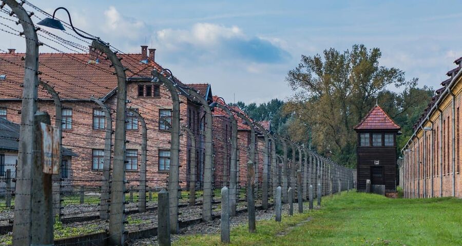 Budapest: Auschwitz Birkenau Private Day Tour - Key points at a glance
