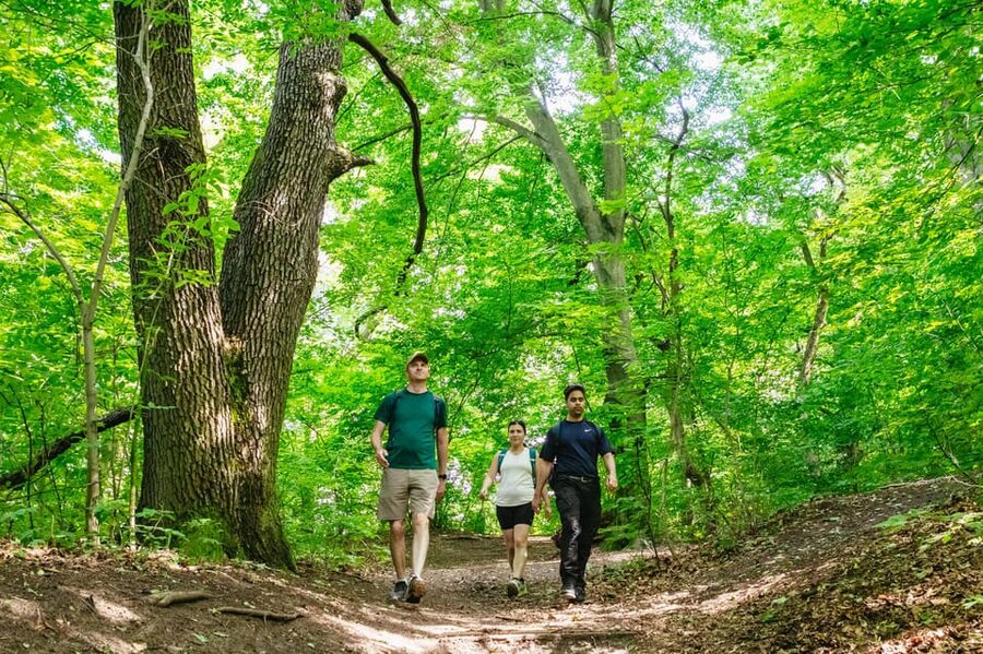 Budapest: Buda Hills Guided Hiking Tour with Optional Lunch - Key points to know before booking
