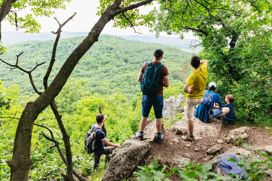 Budapest: Buda Hills Guided Hiking Tour with Optional Lunch - Why the Buda Hills make a fine change of pace