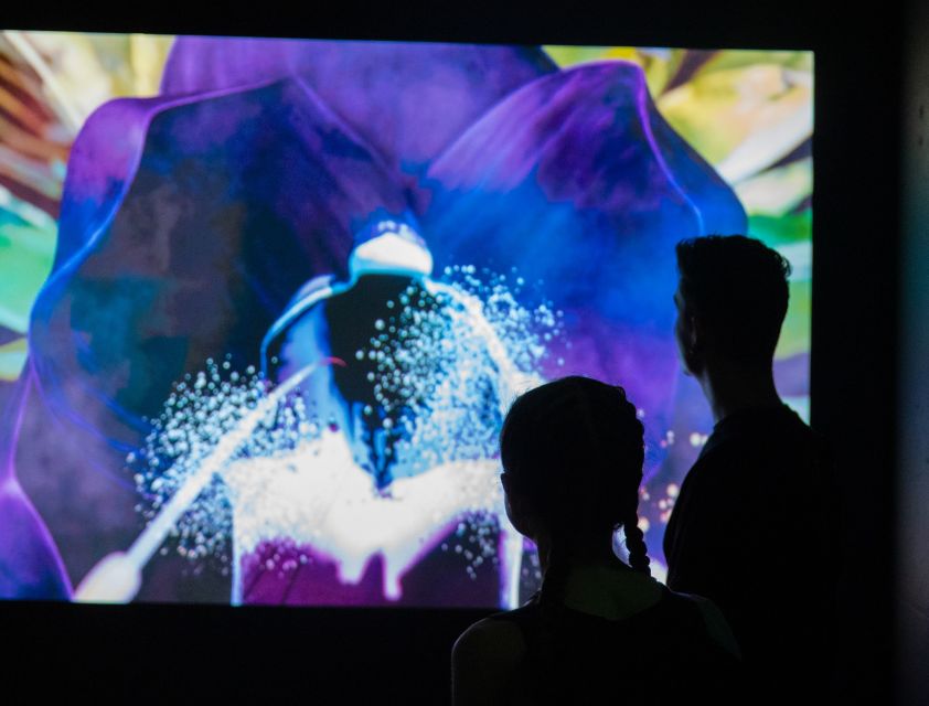 Budapest: Cinema Mystica Entry Ticket - The avatar room and interactive displays