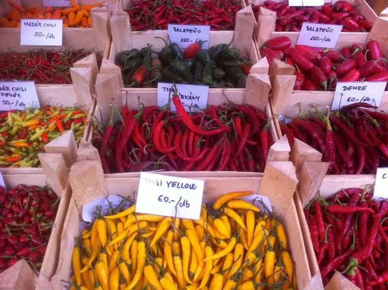 Budapest Culinary & Wine Walk—Budapest’s Signature Food Tour - Key points at a glance