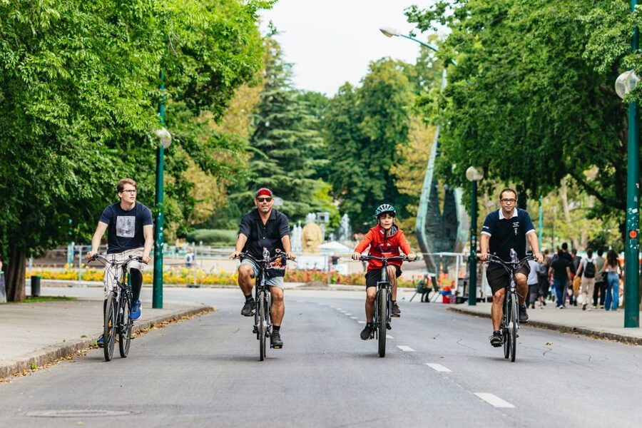 Budapest: Grand Sightseeing Bike Tour - Elizabeth Bridge and the climb to Castle Hill