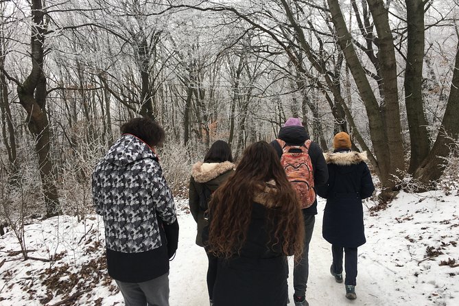 Budapest Hike - The unusual railway and its child staff