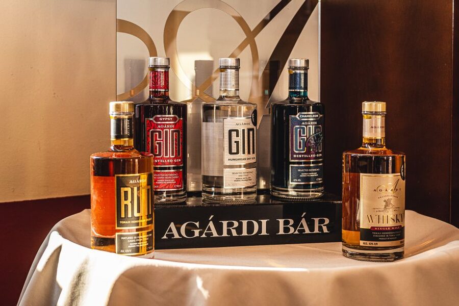 Budapest: Hungarian Whisky, Gin, and Pálinka Tasting - Six pálinkas, then gin and whisky