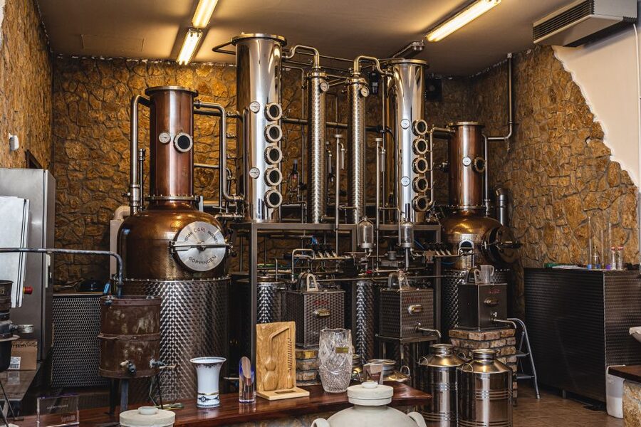 Budapest: Hungarian Whisky, Gin, and Pálinka Tasting - Who should book this distillery outing?