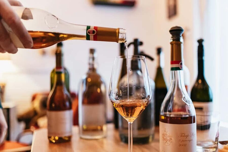 Budapest: Hungarian Wine Tasting with 7 Wines and Tapas - The first glasses: Hungarian wine, regions, and the map