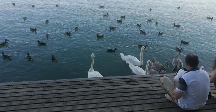 Budapest: Lake Balaton & Herend Porcelain Private Day Tour - Lake Balaton gives the day its open-air appeal