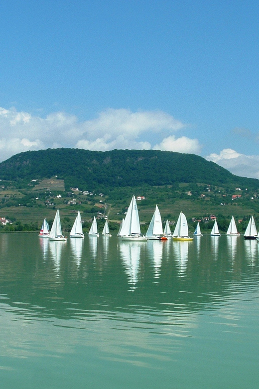 Budapest: Lake Balaton & Herend Porcelain Private Day Tour - Private transport and guide quality