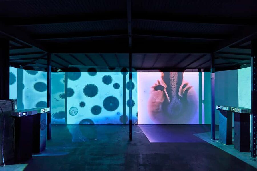 Budapest: Light Art Museum - Immersive New Media Experience - Who will enjoy Light Art Museum Budapest?