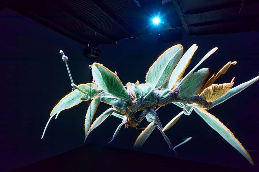 Budapest: Light Art Museum - Immersive New Media Experience - FAQ