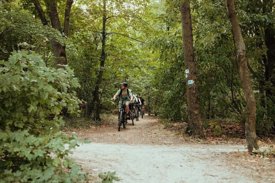 Budapest Peaks: Off-Road eBike Tour - Károly Guckler Lookout rewards the climb
