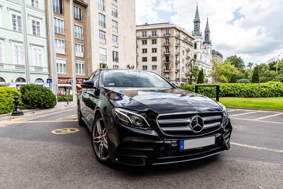 Budapest: Private Luxury Sightseeing Tour - City Park, Heroes Square, and Andrassy Avenue