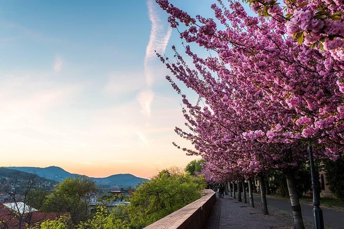 Budapest Private Walking Tour - City Park, the castle, and a look inside Széchenyi Bath