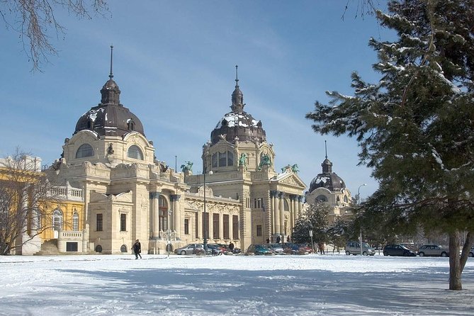 Budapest Széchenyi Spa with Danube Cruise and Optional Dinner - Booking, timing, and cancellation details
