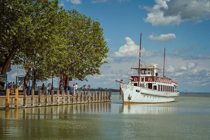 Budapest to Lake Balaton and Porcelain Museum Private Day Tour - Health precautions and day-to-day comfort