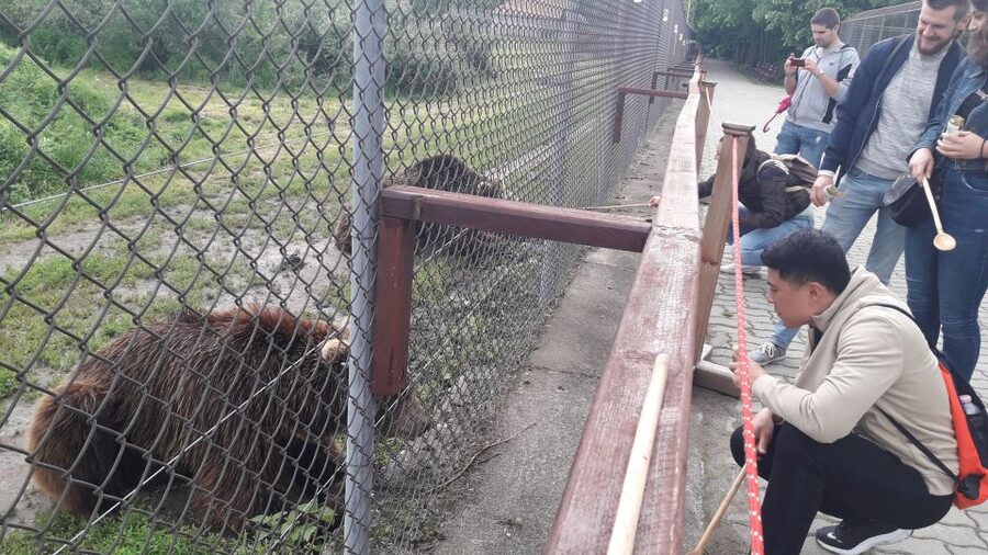 Budapest: Transport & Guided Tour of Bear and Wolf Sanctuary - From Batthyány tér to the Hungarian countryside