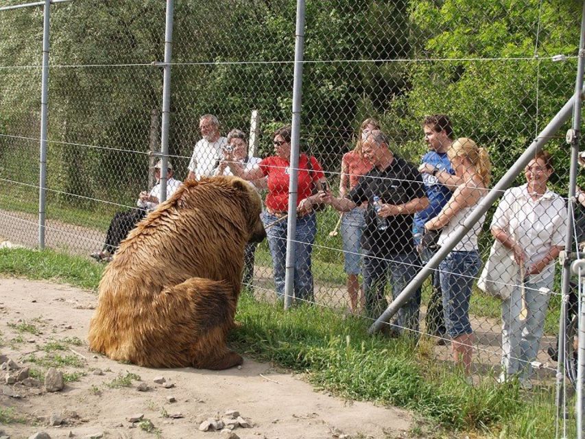 Budapest: Transport & Guided Tour of Bear and Wolf Sanctuary - Seeing brown bears at close range
