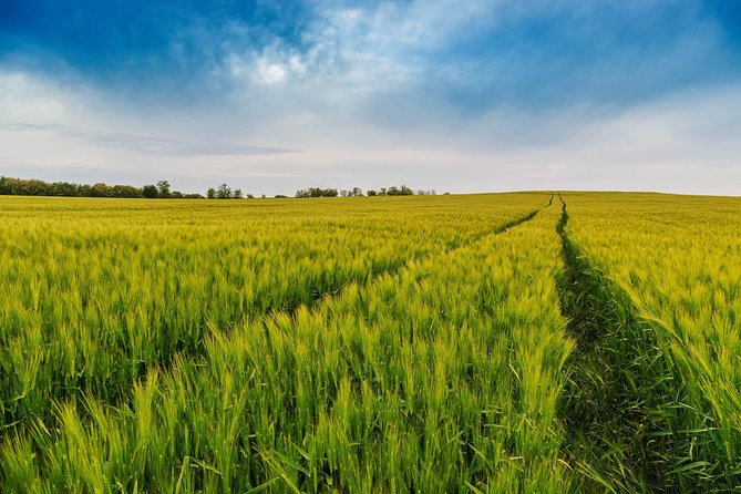 Budapest-Vienna One-Way Sightseeing Transfer - Who should book this day?