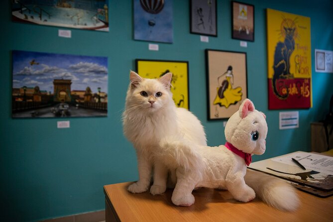 Cat Museum Budapest Entry Ticket - Starting downstairs with cats in world art