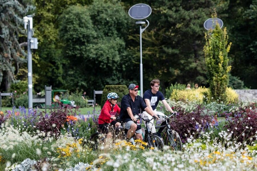 Choose a bicycle and make your own tour in Budapest-24 hrs - What the customer feedback tells you