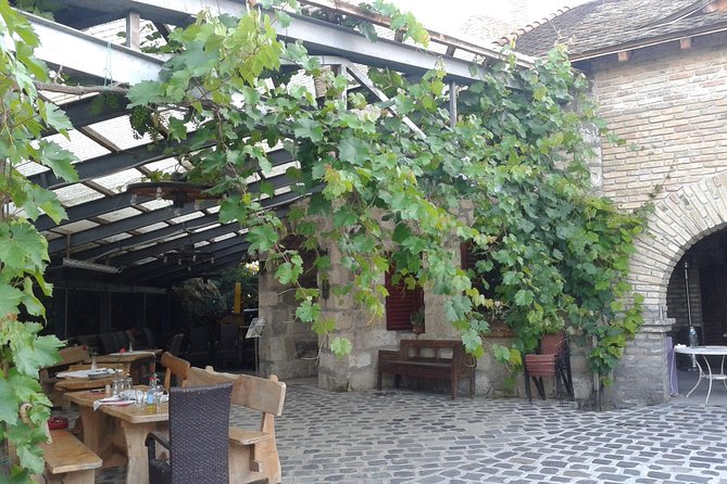 Countryside Half-day Gastro-Wine Tour from Budapest Meal & pickup - The Drive From Central Budapest to the Vineyards