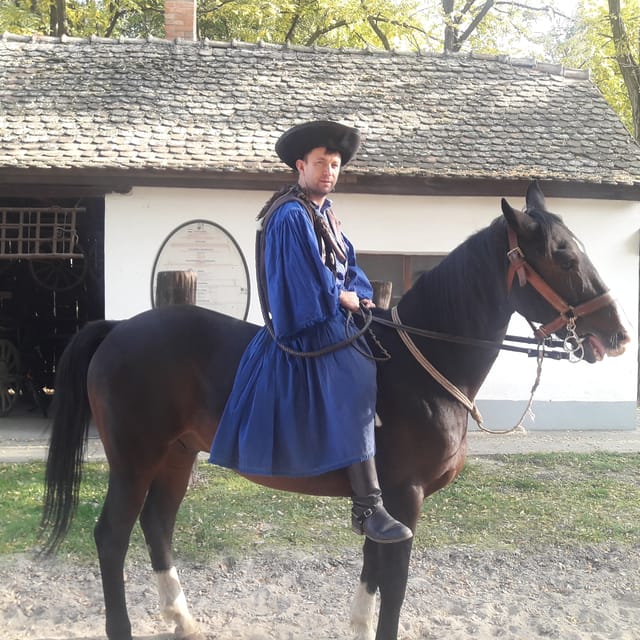 Countryside ranch, horse show & lunch - Practical details that can make the day easier