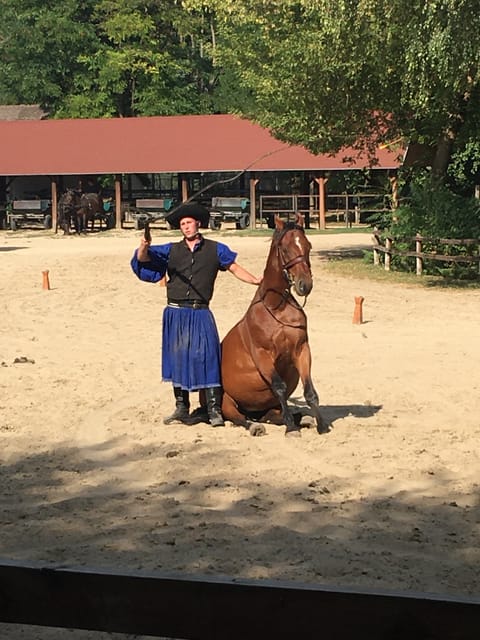 Countryside ranch, horse show & lunch - Goulash, strudel, and a shot of palinka