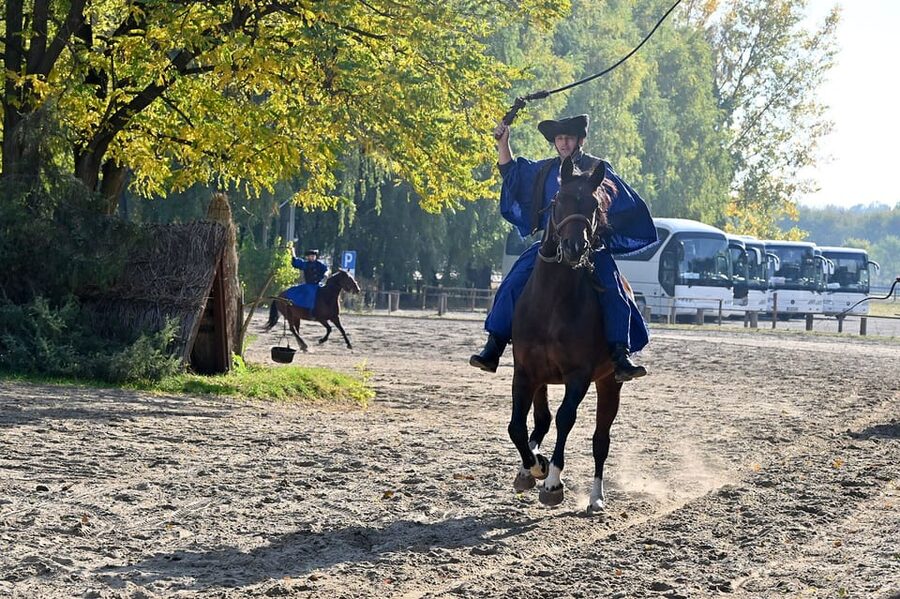 Countryside ranch, horse show & lunch - Who will enjoy this five-hour outing?