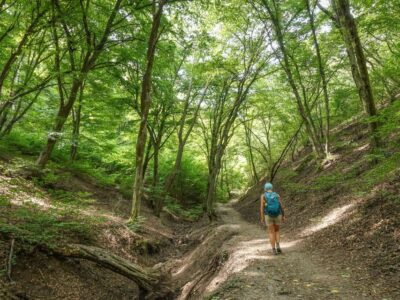 Danube Bend Hiking and Kayaking Adventure