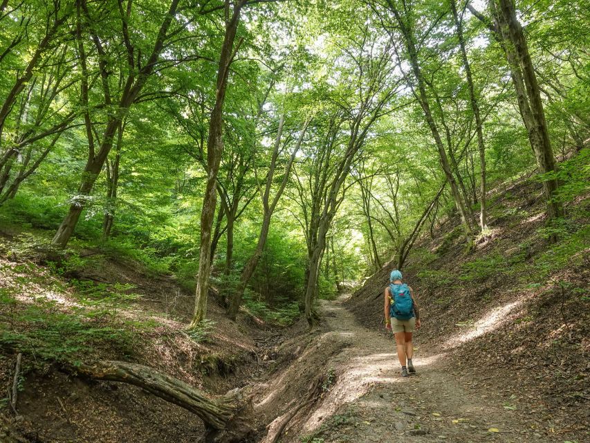 Danube Bend Hiking and Kayaking Adventure - Leaving Budapest for Nagymaros