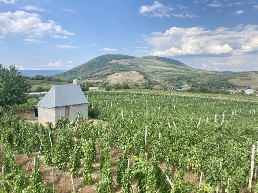 Eger: Countryside, Culture, and Wine Private Tour - Cathedral and Lyceum, two grand stops