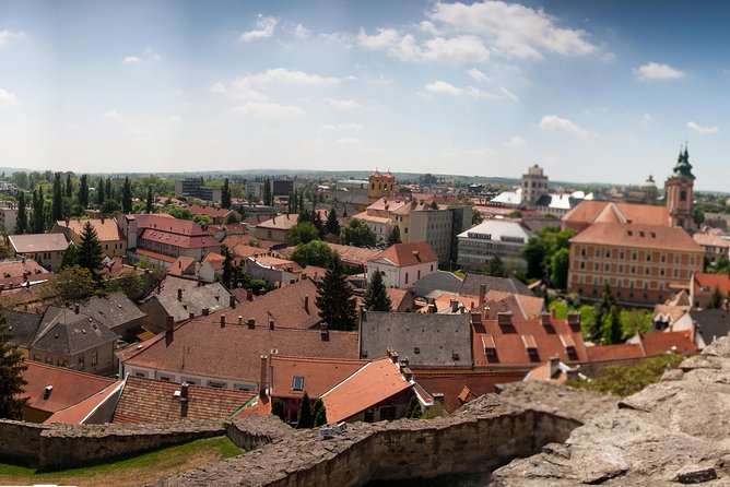 Eger Private Full-Day Wine Tasting Tour and Sightseeing from Budapest - Two wineries and the taste of Bull’s Blood