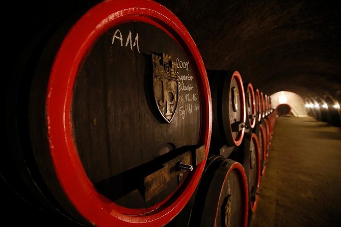 Eger Private Full-Day Wine Tasting Tour and Sightseeing from Budapest - What the private format is worth