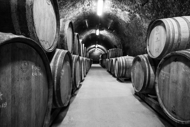 Eger Private Full-Day Wine Tasting Tour and Sightseeing from Budapest - Who will enjoy this Eger day trip