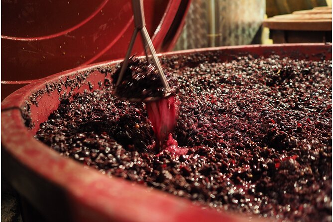 Etyek Private Half-Day Wine Tasting Tour from Budapest - What kind of wine experience should you expect?