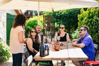 Etyek Wine Tasting Tour with 3-Course Meal