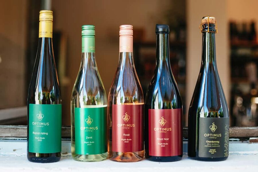 From Budapest: Etyek Wine Tasting Tour with 3-Course Meal - What the $102 price really includes