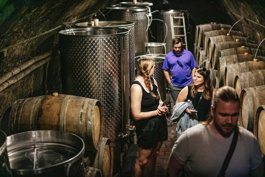 From Budapest: Etyek Wine Tasting Tour with 3-Course Meal - The strongest reasons to choose this tour