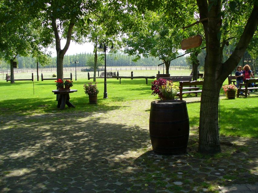 From Budapest: Full-Day Puszta Tour with Lunch and Show - Key Things to Know Before You Book