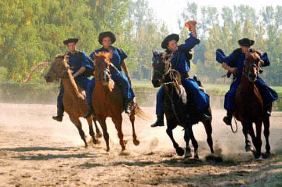 From Budapest: Full-Day Puszta Tour with Lunch and Show - Lajosmizse and the Ranch Welcome