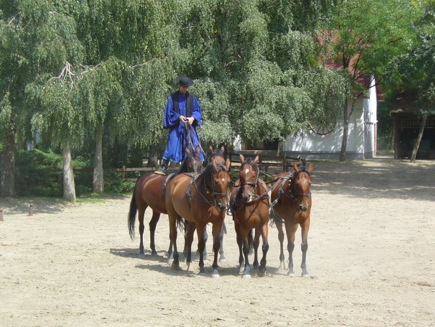 From Budapest: Full-Day Puszta Tour with Lunch and Show - How the Day Feels in Practice