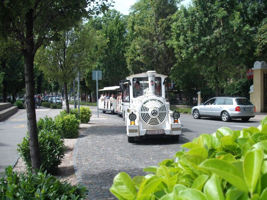 From Budapest: Lake Balaton Day Tour - One hour on Lake Balaton