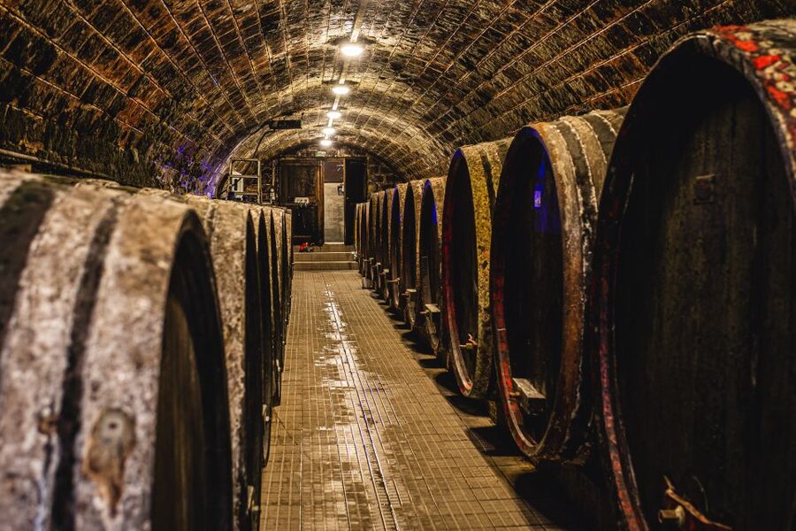 From Budapest: Mátra Hills Wine Tour - What the eight tastings really offer