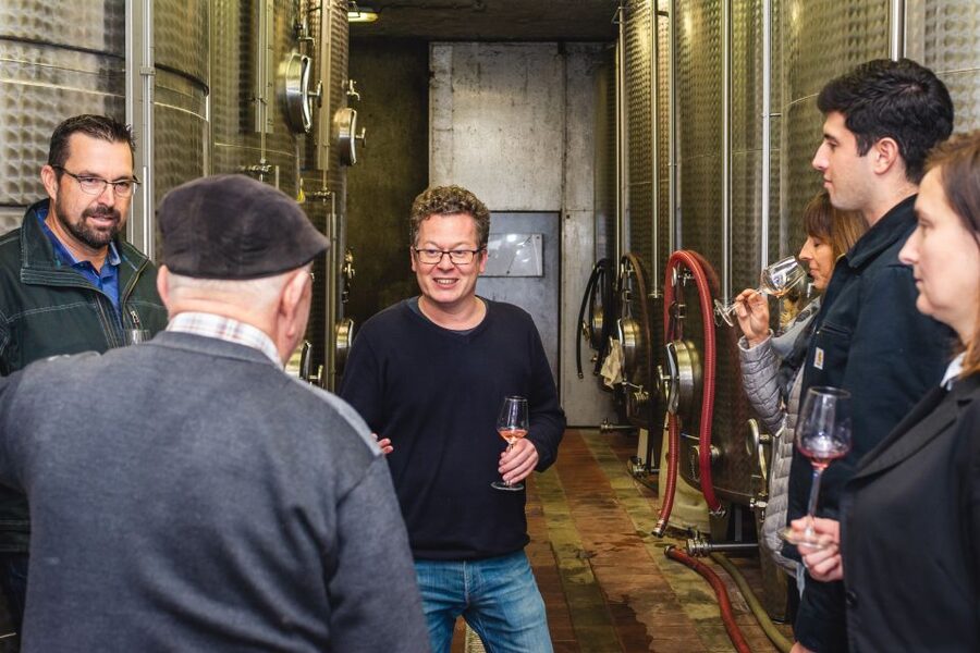 From Budapest: Mátra Hills Wine Tour - A closer look at the $341 price